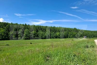 Teren în Dumbrăvița - 2