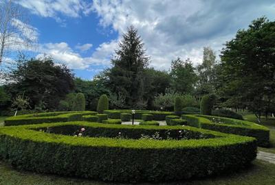 Vanzare vila/casa de vacanta - 26
