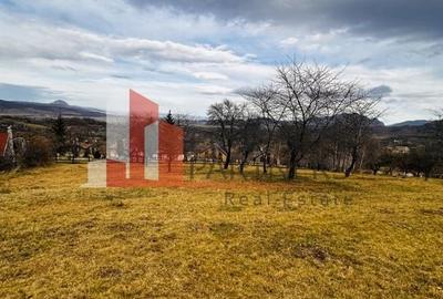 Teren 937 mp Bran/ Sohodol - 4