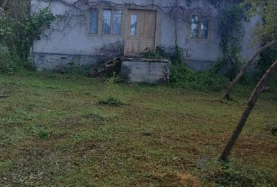 Casă cu 5 camere cu Teren 3 Mp în Hălmagiu - 1