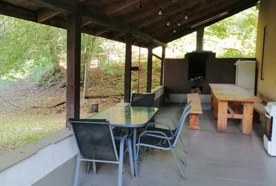 Inchiriez casa in Floresti la marginea padurii - 7