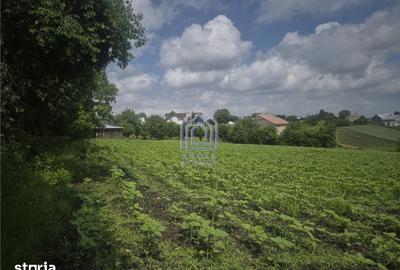 Teren de 2000 mp, în Moara - 10