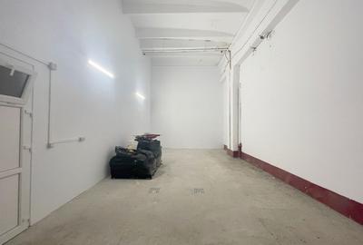 Hale industriale de inchiriat in zona Aradului - 10