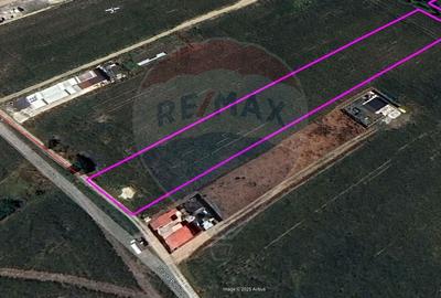 Teren intravilan 7209 mp, Bragadiru Teren intravilan 7209 mp, Bragadiru - 2