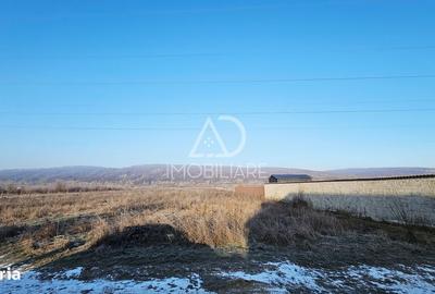 Spațiu comercial, în Central