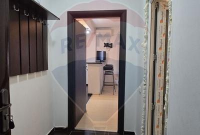 Garsonieră nedecomandată, mobilată în Dobroești - 20