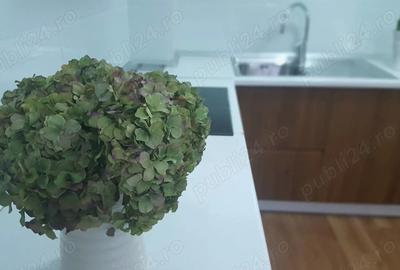 Apartament cu 4 camere decomandat în Central - 5