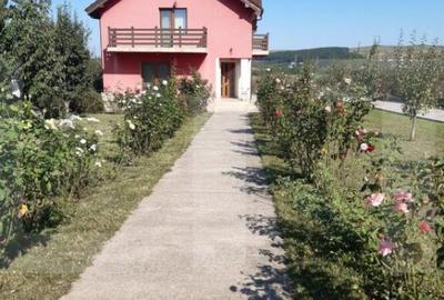 Casa la cheie, 220 mp utili, 973 mp teren, Jucu - 2