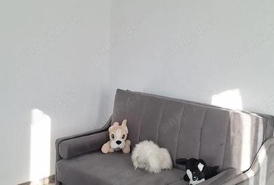 Casă cu 3 camere cu Teren 1317 Mp în Ciocănești - 1