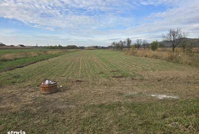 Casă cu 4 camere cu Teren 350 Mp în Central - 6