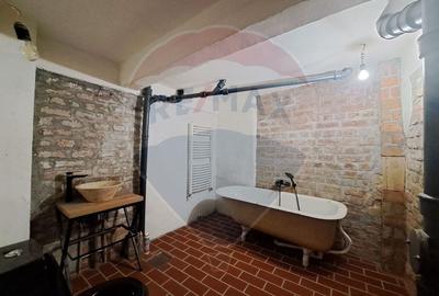 Spatiu comercial-Demisol-Atelier de arta - 9