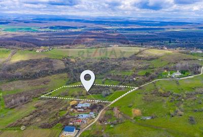 Teren Construcții intravilan de 33500 mp, în Valea Orlei - 4