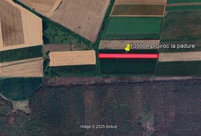 Proprietar vand teren agricol in Giroc langa padure si Manastirea Sag - 1