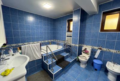 Vila individuala / 10 camere + / Valea Oltului / 620mp utili / 2190mp curte - 15