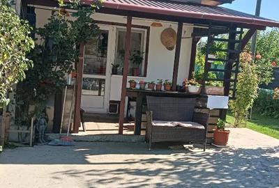 Casă cu 4 camere în Braniștea - 15