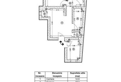 Vanzare vila D+P+E+M renovat 2015 | Piata Muncii - Decebal | - 10
