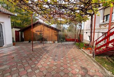 Casa / Vila de vanzare in Cristur jud.Hunedoara - 21