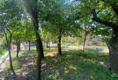 Casă individuală cu 4 camere cu Canalizare în Dâmbul Rotund - 3