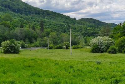 Teren agricol extravilan de 12600 mp, în Glăjărie - 1