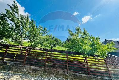 Teren de 1600 mp, în Sighetu Marmației - 3