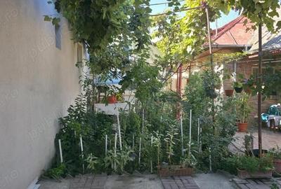 Casă cu 6 camere cu Teren 230 Mp în Viile Noi - 2