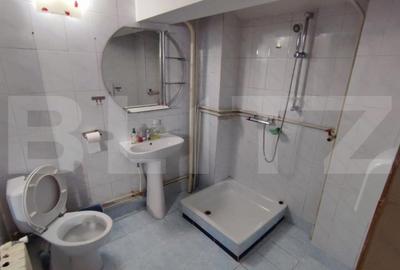 Casă individuală cu 7 camere cu Teren 235 Mp în Brazda lui Novac - 9