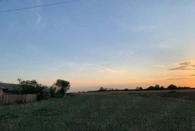 Teren de 2500 mp, în Copaciu - 9