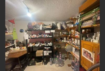 Casa cu garaj in Calnic, 231 mp construiti - 10