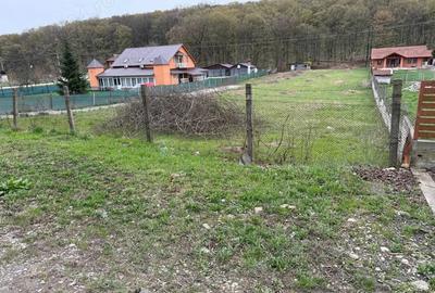 Teren de 3258 mp, în Hidiș - 5