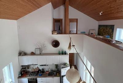 Casa de vacanta Techirghiol - 10