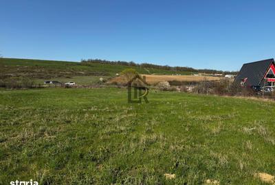 Teren de 1500 mp, în Schitu Duca - 5