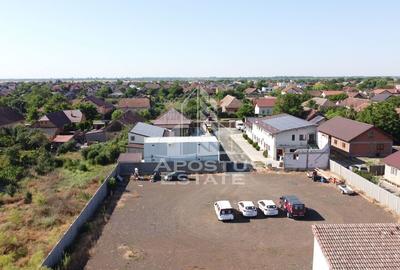 SAD de vanzare in EXCLUSIVITATE, 392 mp, 2693 mp teren, Sacalaz SAD de vanzare in EXCLUSIVITATE, 392 mp, 2693 mp teren, Sacalaz - 4