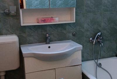 330euro/luna, Apartament 1 camera, etaj 3, Podul de Fier - 6