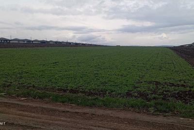 Spațiu comercial, în Proselnici - 2