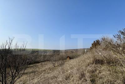 Conac cu teren intravilan 8759 mp, priveliste panoramica, Ci - 13