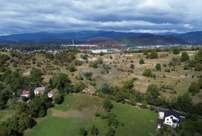 Teren agricol intravilan de 33598 mp, în Est - 5