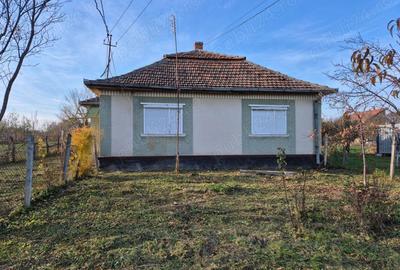 Casă cu 2 camere în Viile Satu Mare - 2