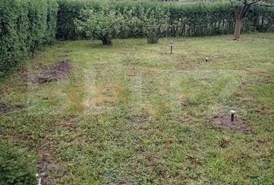 Casă cu 3 camere în Criș - 8