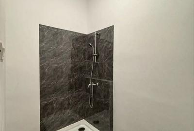 Spatiu comercial b-dul Decebal - 7