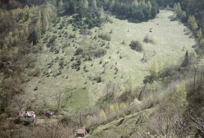 Tren intravilan si casa de lemn  in Brasov - 1