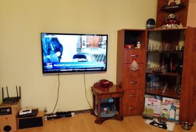 Apartament Studio - Brazda lui Novac - 5