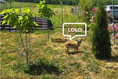 Teren Construcții intravilan de 500 mp, în Sud - 18