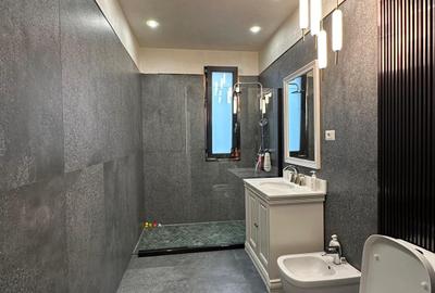 Penthouse de Lux - Mihai Bravu - 19