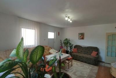 Fratelia-Casa P+E+M-garaj dublu- investitie - 5