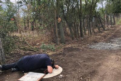Casă cu 3 camere în Constantinești - 3
