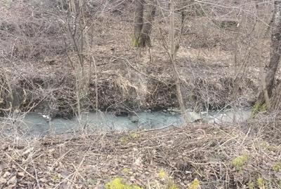 Casă cu Teren 1000 Mp în Central