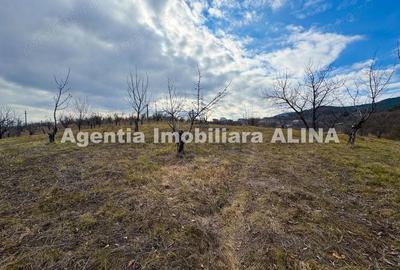 Teren în Călugareni - 5