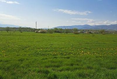 Teren de 550 mp, în Ștrand - 7