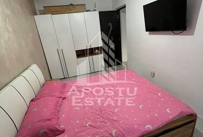Apartament cu 2 camere, renovat,centrala proprie, zona Sagului - 3