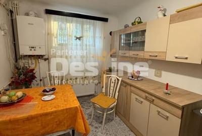 Casă individuală cu 4 camere cu Teren 800 Mp în Central - 12